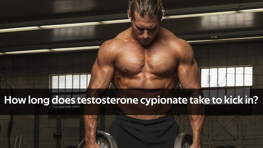 testosterone cypionate 2000mg 10ml
